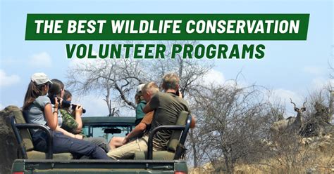 best wildlife conservation volunteer opportunities.